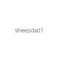 sheepdad1